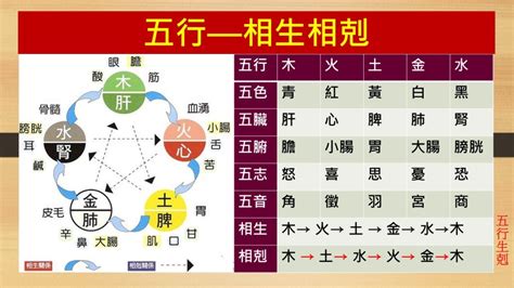 剋金|五行相生相剋:五行,四季五行,相生相剋,概念對應,五行。